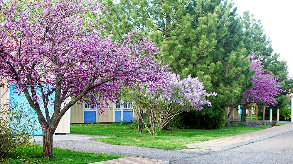  fenced guarded territory 